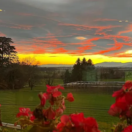 La Terrasse Des Vignes Bursins
