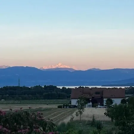 La Terrasse Des Vignes